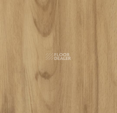 Кварцвиниловые полы Forbo Allura Click 60026CL5 classic beech фото 1 | FLOORDEALER